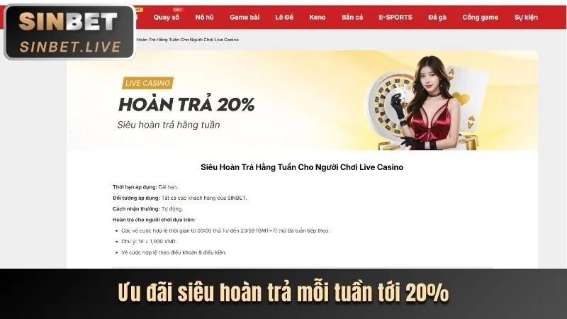 Ưu đãi độc quyền cho thành viên VIP ZBET